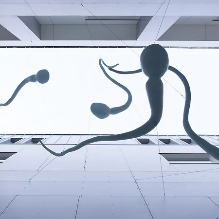 Hotel Art'otel Amsterdam, Powered By Radisson 4*