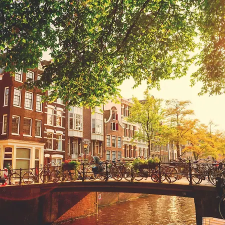 Art'otel Amsterdam, Powered By Radisson Hotel 4*